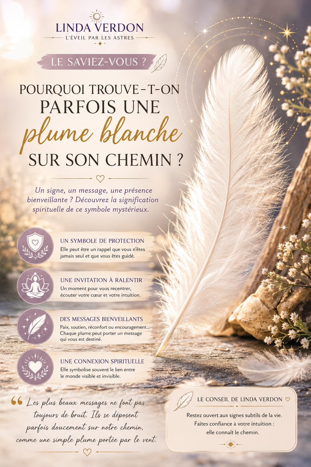 Pourquoi trouve-t-on parfois une plume blanche sur son chemin ? Explorez sa symbolique, son lien avec la spiritualité et les messages qu'elle peut évoquer.